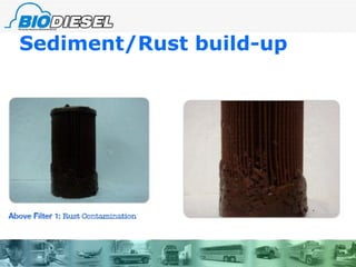 Sediment/Rust build-up 