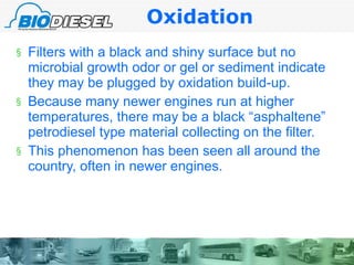 Oxidation   Filters with a black and shiny surface but no microbial growth odor or gel or sediment indicate they may be plugged by oxidation build-up.  Because many newer engines run at higher temperatures, there may be a black “asphaltene” petrodiesel type material collecting on the filter.  This phenomenon has been seen all around the country, often in newer engines. 