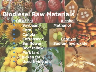 Biodiesel Raw Materials Oil or Fat Alcohol Soybean   Methanol Corn   Canola Cottonseed Catalyst Sunflower   Sodium hydroxide Beef tallow   Pork lard Chicken fat Used frying oils  