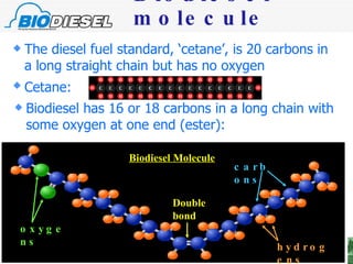 Biodiesel molecule oxygens hydrogens carbons Double bond Biodiesel has 16 or 18 carbons in a long chain with some oxygen at one end (ester): The diesel fuel standard, ‘cetane’, is 20 carbons in a long straight chain but has no oxygen Cetane:   Biodiesel Molecule 