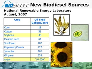 National Renewable Energy Laboratory August, 2007 New Biodiesel Sources Crop Oil Yield Gallons/acre Corn 18 Cotton 35 Soybean 48 Mustard seed 61 Sunflower 102 Rapeseed/Canola 127 Jatropha 202 Oil palm 635 Algae “ 10,000” 