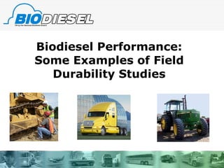Biodiesel Performance: Some Examples of Field Durability Studies 