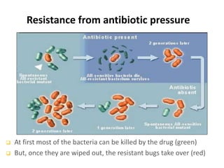 Resistance from antibiotic pressure
 At first most of the bacteria can be killed by the drug (green)
 But, once they are wiped out, the resistant bugs take over (red)
 