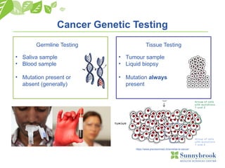 Germline Testing Tissue Testing
Cancer Genetic Testing
• Saliva sample
• Blood sample
• Mutation present or
absent (generally)
• Tumour sample
• Liquid biopsy
• Mutation always
present
https://www.precisionmed.ch/en/what-is-cancer/
 