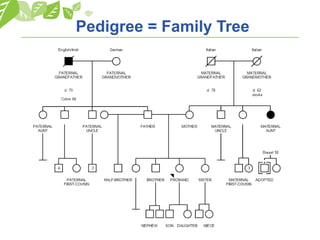 Pedigree = Family Tree
 