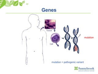 Genes
mutation = pathogenic variant
mutation
http://www.encognitive.com/node/10741
 