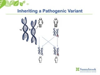 Inheriting a Pathogenic Variant
 