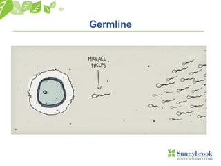 Germline
 