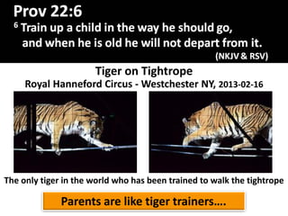 Tiger on Tightrope
Royal Hanneford Circus - Westchester NY, 2013-02-16
The only tiger in the world who has been trained to walk the tightrope
Parents are like tiger trainers….
 