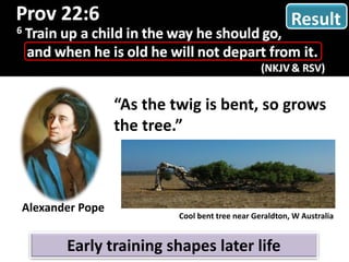 Result
“As the twig is bent, so grows
the tree.”
Alexander Pope
Early training shapes later life
Cool bent tree near Geraldton, W Australia
 