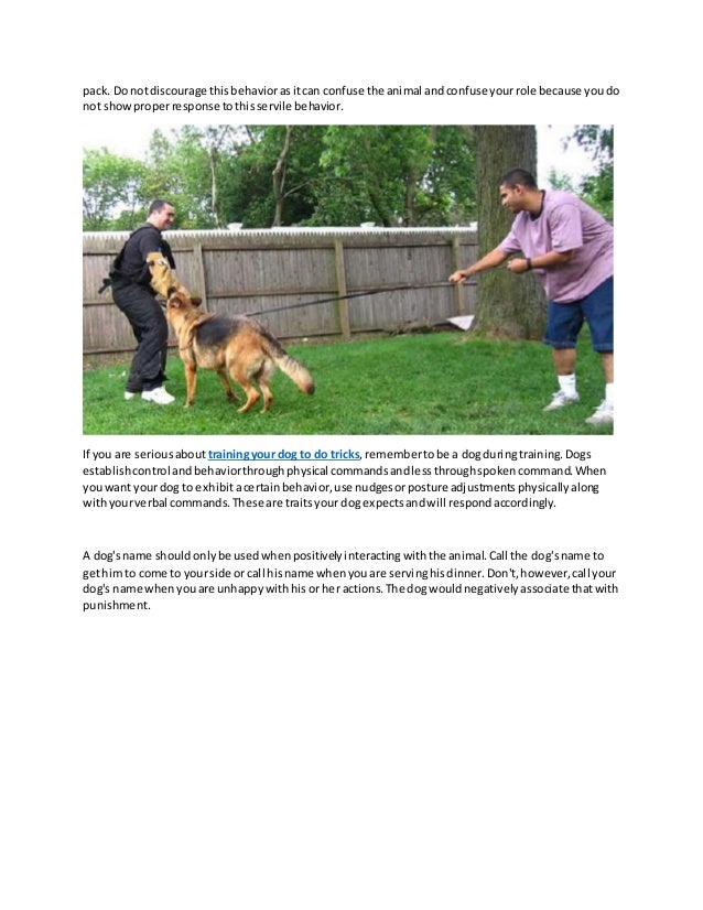 How To Re Crate Train A Dog How To Re Crate Train A Dog