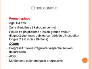 ETUDE CLINIQUE
• Forme typique
• Age 1-4 ans
• Zone d’endémie ( kairouan centre)
• Piqure de phlébotome : lésion grande valeur
diagnostique, mais oubliée car période d’incubation
longue 2 à 6 mois (10j-3ans)
• Début:
• Progressif : fièvre irrégulière vespérale souvent
désarticulée
• AEG
• Météorisme splénomégalie progressive
 