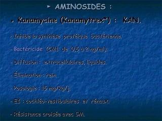 ► AMINOSIDES :
● Kanamycine (Kanamytrex*) : KAN.

- Inhibe la synthèse protéique bactérienne.

- Bactéricide (CM1 de 0,5 à 2 ng/ml).

- Diffusion : extracellulaires, liquides.

- Élimination : rein.

- Posologie : 15 mg/kg/j.

- EI : cochléo-vestibulaires et rénaux.

- Résistance croisée avec SM.
 