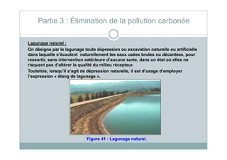 Lagunage naturel :
On désigne par le lagunage toute dépression ou excavation naturelle ou artificielle
dans laquelle s’écoulent naturellement les eaux usées brutes ou décantées, pour
ressortir, sans intervention extérieure d’aucune sorte, dans un état où elles ne
risquent pas d’altérer la qualité du milieu récepteur.
Toutefois, lorsqu’il s’agit de dépression naturelle, il est d’usage d’employer
l’expression « étang de lagunage ».
Partie 3 : Élimination de la pollution carbonée
Figure 41 : Lagunage naturel.
 
