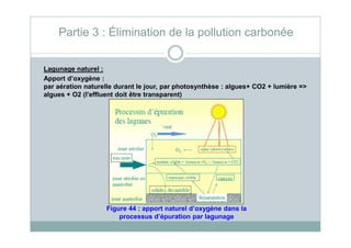Lagunage naturel :
Apport d’oxygène :
par aération naturelle durant le jour, par photosynthèse : algues+ CO2 + lumière =>
algues + O2 (l'effluent doit être transparent)
Partie 3 : Élimination de la pollution carbonée
Figure 44 : apport naturel d’oxygène dans la
processus d’épuration par lagunage
 