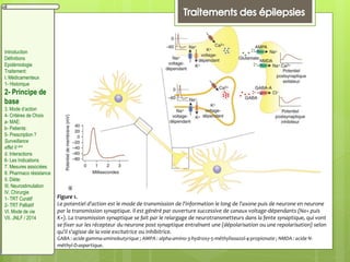 Figure 1.
Le potentiel d'action est le mode de transmission de l'information le long de l'axone puis de neurone en neurone
par la transmission synaptique. Il est généré par ouverture successive de canaux voltage-dépendants (Na+ puis
K+). La transmission synaptique se fait par le relargage de neurotransmetteurs dans la fente synaptique, qui vont
se fixer sur les récepteur du neurone post synaptique entraînant une (dépolarisation ou une repolarisation) selon
qu'il s'agisse de la voie excitatrice ou inhibitrice.
GABA : acide gamma-aminobutyrique ; AMPA : alpha-amino-3-hydroxy-5-méthylisoazol-4-propionate ; NMDA : acide N-
méthyl-D-aspartique.
Introduction
Définitions
Epidémiologie
Traitement:
I. Médicamenteux
1- Historique
2- Principe de
base
3. Mode d’action
4- Critères de Choix
a- MAE:
b- Patients:
5- Prescription ?
Surveillance
effet II aire
d. Interactions
6- Les Indications
7. Mesures associées
8. Pharmaco résistance
II. Diète:
III. Neurostimulation
IV. Chirurgie
1- TRT Curatif
2- TRT Palliatif
VI. Mode de vie
VII. JNLF / 2014
 