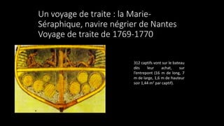 Un voyage de traite : la Marie-
Séraphique, navire négrier de Nantes
Voyage de traite de 1769-1770
312 captifs vont sur le bateau
dès leur achat, sur
l’entrepont (16 m de long, 7
m de large, 1,6 m de hauteur
soir 1,44 m2 par captif).
 