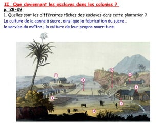 II. Que deviennent les esclaves dans les colonies ?
p. 28-29
1. Quelles sont les différentes tâches des esclaves dans cette plantation ?
La culture de la canne à sucre, ainsi que la fabrication du sucre ;
le service du maître ; la culture de leur propre nourriture.
 