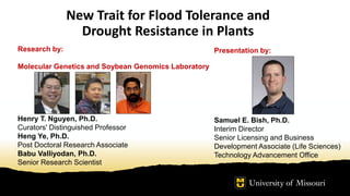 New Trait for Flood Tolerance and
Drought Resistance in Plants
Presentation by:
Samuel E. Bish, Ph.D.
Interim Director
Senior Licensing and Business
Development Associate (Life Sciences)
Technology Advancement Office
Research by:
Molecular Genetics and Soybean Genomics Laboratory
Henry T. Nguyen, Ph.D.
Curators' Distinguished Professor
Heng Ye, Ph.D.
Post Doctoral Research Associate
Babu Valliyodan, Ph.D.
Senior Research Scientist
 