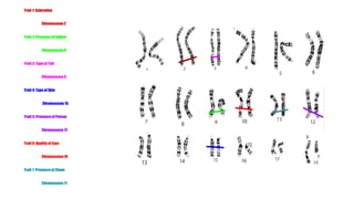 Trait 1: Coloration
Chromosome2
Trait 2: Presence of Spikes
Chromosome9
Trait 3: Type of Tail
Chromosome3
Trait 4: Type of Skin
Chromosome 15
Trait 5: Presence of Poison
Chromosome12
Trait 6: Quality of Eyes
Chromosome10
Trait 7: Presenceof Claws
Chromosome11
 