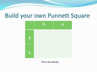 Build your own Punnett SquareFill in the blanks 