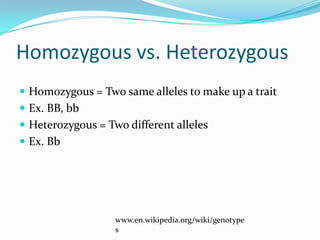 Homozygous vs. HeterozygousHomozygous = Two same alleles to make up a traitEx. BB, bbHeterozygous = Two different allelesEx. Bbwww.en.wikipedia.org/wiki/genotypes