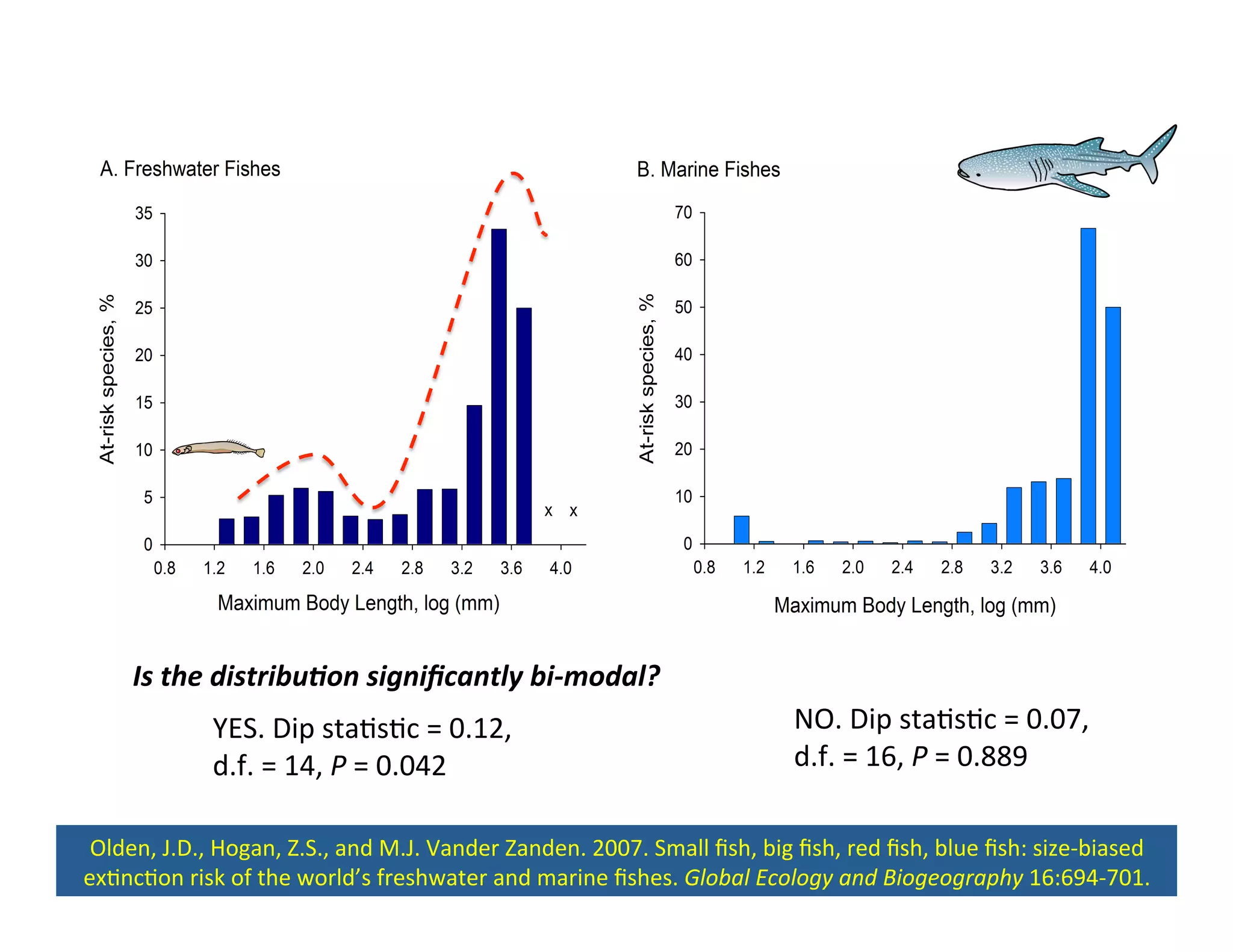 YES.	
  Dip	
  sta,s,c	
  =	
  0.12,	
  
d.f.	
  =	
  14,	
  P	
  =	
  0.042	
  	
  
NO.	
  Dip	
  sta,s,c	
  =	
  0.07,	
  
d.f.	
  =	
  16,	
  P	
  =	
  0.889	
  	
  
Olden,	
  J.D.,	
  Hogan,	
  Z.S.,	
  and	
  M.J.	
  Vander	
  Zanden.	
  2007.	
  Small	
  ﬁsh,	
  big	
  ﬁsh,	
  red	
  ﬁsh,	
  blue	
  ﬁsh:	
  size-­‐biased	
  
ex,nc,on	
  risk	
  of	
  the	
  world’s	
  freshwater	
  and	
  marine	
  ﬁshes.	
  Global	
  Ecology	
  and	
  Biogeography	
  16:694-­‐701.	
  
Is	
  the	
  distribu,on	
  signiﬁcantly	
  bi-­‐modal?	
  
 