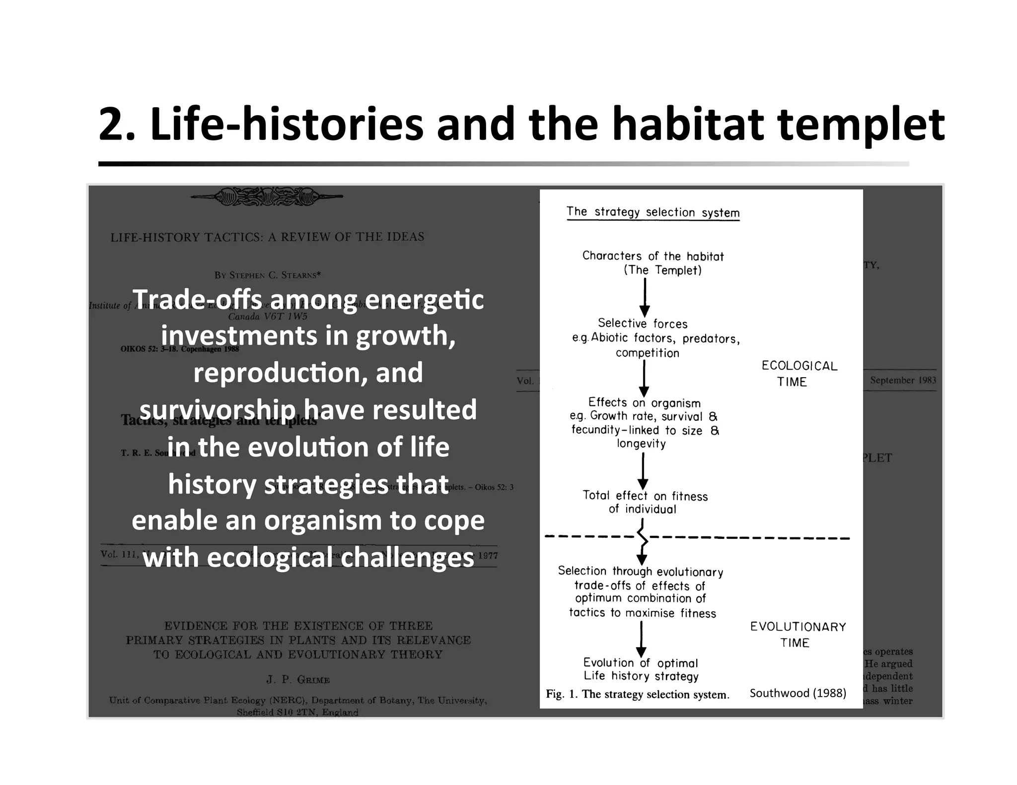 2.	
  Life-­‐histories	
  and	
  the	
  habitat	
  templet	
  
Trade-­‐oﬀs	
  among	
  energeFc	
  
investments	
  in	
  growth,	
  
reproducFon,	
  and	
  
survivorship	
  have	
  resulted	
  
in	
  the	
  evoluFon	
  of	
  life	
  
history	
  strategies	
  that	
  
enable	
  an	
  organism	
  to	
  cope	
  
with	
  ecological	
  challenges	
  
Southwood	
  (1988)	
  
 