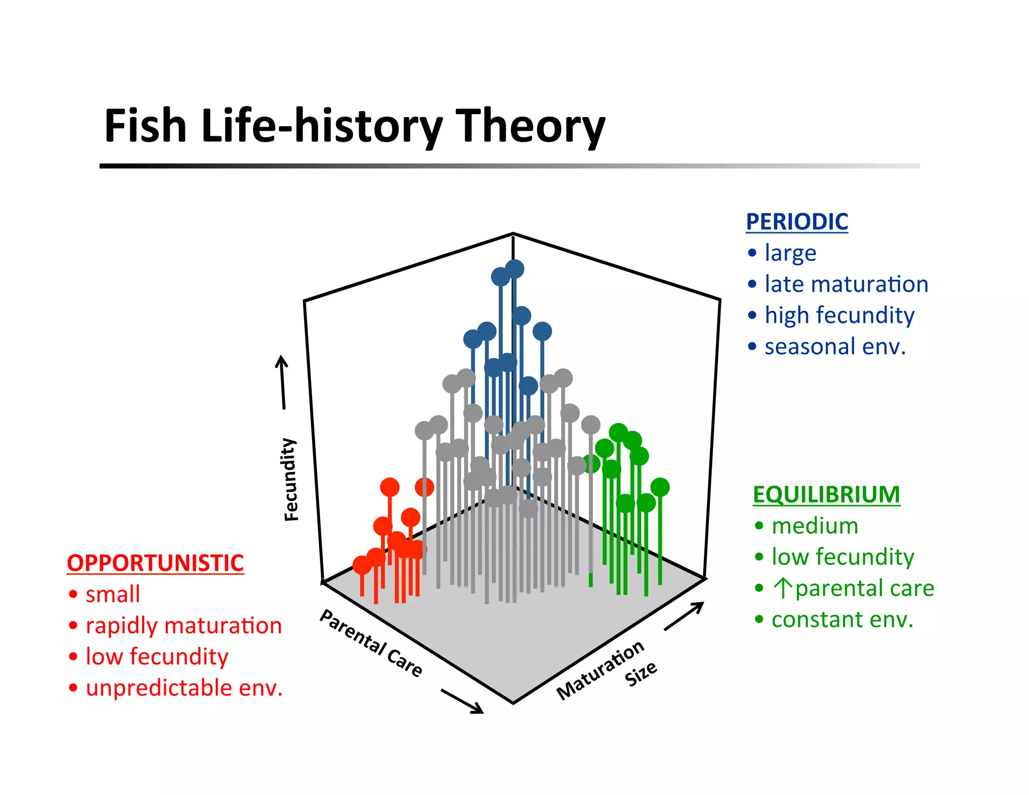 Fish	
  Life-­‐history	
  Theory	
  
Fecundity	
  
OPPORTUNISTIC	
  
• 	
  small	
  
• 	
  rapidly	
  matura,on	
  
• 	
  low	
  fecundity	
  
• 	
  unpredictable	
  env.	
  
PERIODIC	
  
• 	
  large	
  
• 	
  late	
  matura,on	
  
• 	
  high	
  fecundity	
  
• 	
  seasonal	
  env.	
  
EQUILIBRIUM	
  
• 	
  medium	
  
• 	
  low	
  fecundity	
  
• 	
  ↑parental	
  care	
  
• 	
  constant	
  env.	
  
 