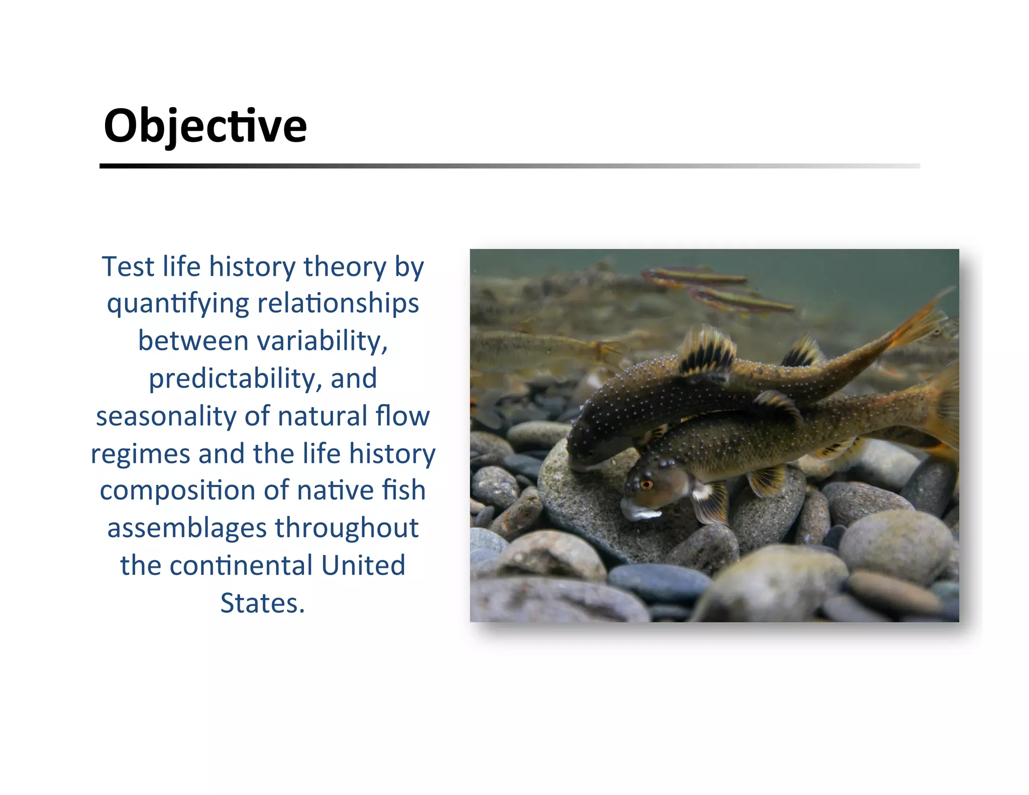 ObjecFve	
  
Test	
  life	
  history	
  theory	
  by	
  
quan,fying	
  rela,onships	
  
between	
  variability,	
  
predictability,	
  and	
  
seasonality	
  of	
  natural	
  ﬂow	
  
regimes	
  and	
  the	
  life	
  history	
  
composi,on	
  of	
  na,ve	
  ﬁsh	
  
assemblages	
  throughout	
  
the	
  con,nental	
  United	
  
States.	
  	
  
 