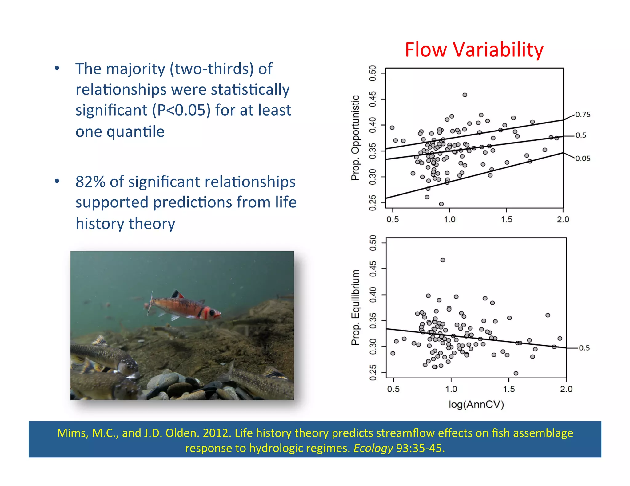 •  The	
  majority	
  (two-­‐thirds)	
  of	
  
rela,onships	
  were	
  sta,s,cally	
  
signiﬁcant	
  (P<0.05)	
  for	
  at	
  least	
  
one	
  quan,le	
  
•  82%	
  of	
  signiﬁcant	
  rela,onships	
  
supported	
  predic,ons	
  from	
  life	
  
history	
  theory	
  
Opp	
   Per	
   Equ	
  
Mims,	
  M.C.,	
  and	
  J.D.	
  Olden.	
  2012.	
  Life	
  history	
  theory	
  predicts	
  streamﬂow	
  eﬀects	
  on	
  ﬁsh	
  assemblage	
  
response	
  to	
  hydrologic	
  regimes.	
  Ecology	
  93:35-­‐45.	
  
Flow	
  Variability	
  
 