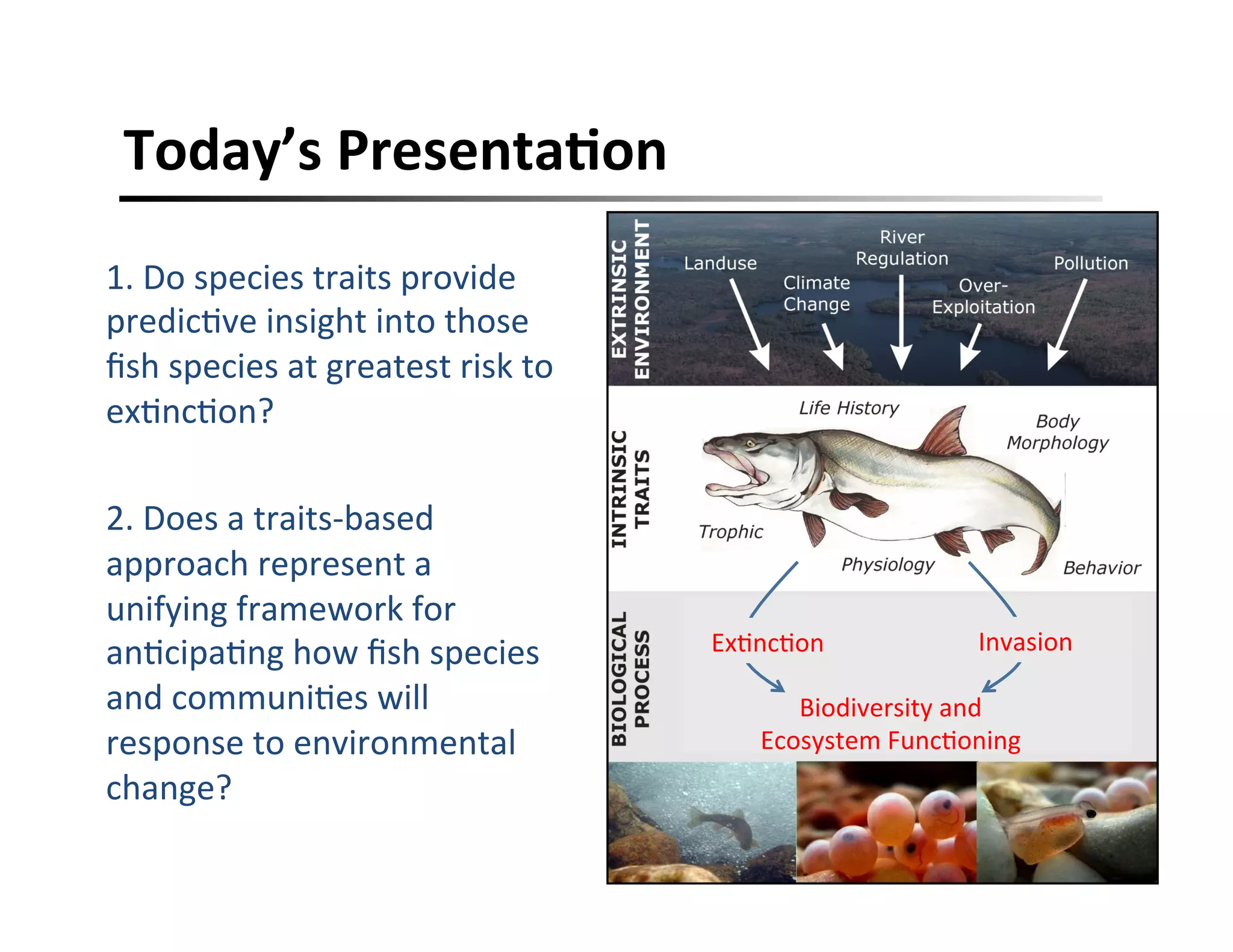 Today’s	
  PresentaFon	
  
1.	
  Do	
  species	
  traits	
  provide	
  
predic,ve	
  insight	
  into	
  those	
  
ﬁsh	
  species	
  at	
  greatest	
  risk	
  to	
  
ex,nc,on?	
  
	
  
2.	
  Does	
  a	
  traits-­‐based	
  
approach	
  represent	
  a	
  
unifying	
  framework	
  for	
  
an,cipa,ng	
  how	
  ﬁsh	
  species	
  
and	
  communi,es	
  will	
  
response	
  to	
  environmental	
  
change?	
  
Biodiversity	
  and	
  	
  
Ecosystem	
  Func,oning	
  
Ex,nc,on	
   Invasion	
  
 