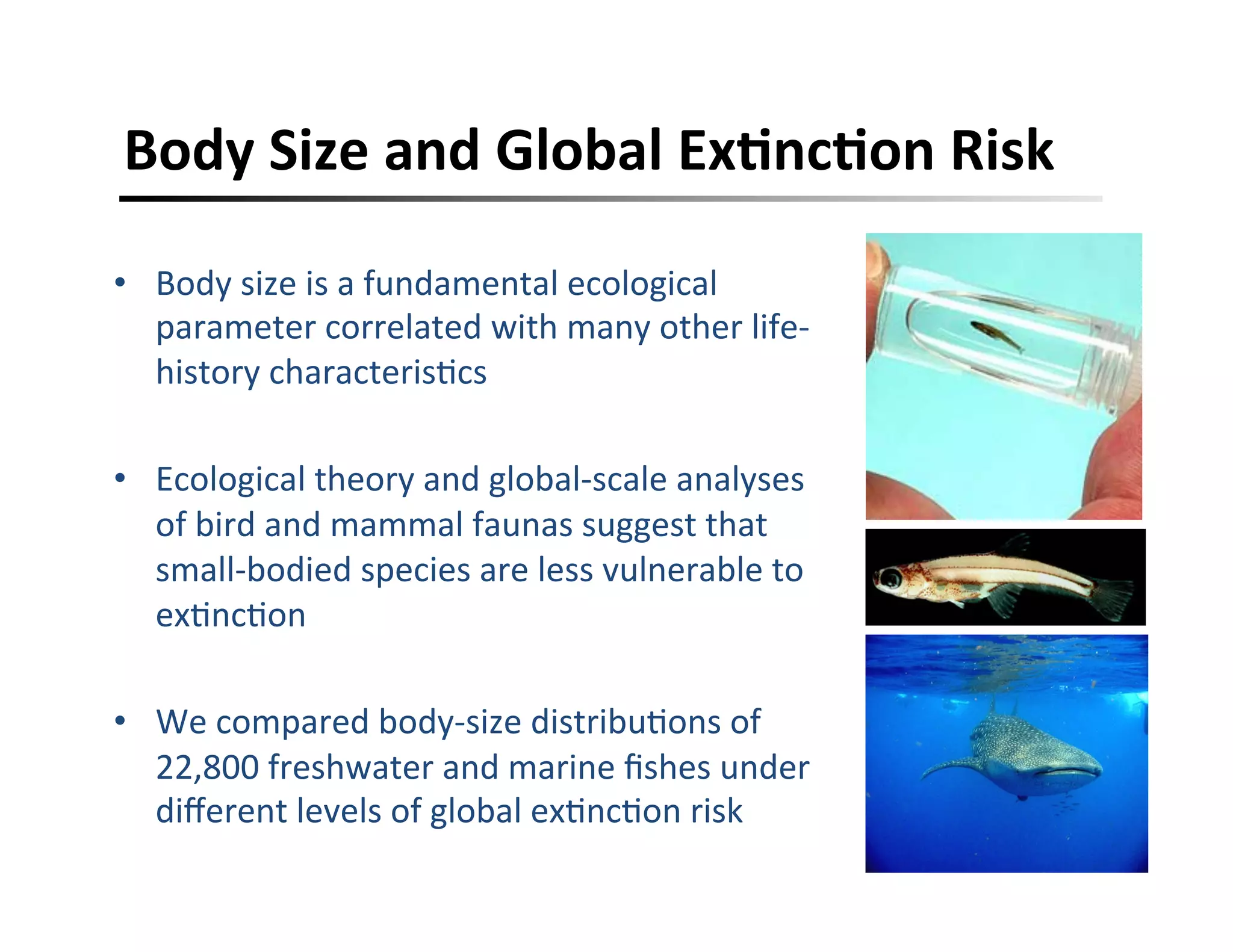 Body	
  Size	
  and	
  Global	
  ExFncFon	
  Risk	
  	
  
•  Body	
  size	
  is	
  a	
  fundamental	
  ecological	
  
parameter	
  correlated	
  with	
  many	
  other	
  life-­‐
history	
  characteris,cs	
  
•  Ecological	
  theory	
  and	
  global-­‐scale	
  analyses	
  
of	
  bird	
  and	
  mammal	
  faunas	
  suggest	
  that	
  
small-­‐bodied	
  species	
  are	
  less	
  vulnerable	
  to	
  
ex,nc,on	
  
•  We	
  compared	
  body-­‐size	
  distribu,ons	
  of	
  
22,800	
  freshwater	
  and	
  marine	
  ﬁshes	
  under	
  
diﬀerent	
  levels	
  of	
  global	
  ex,nc,on	
  risk	
  
 