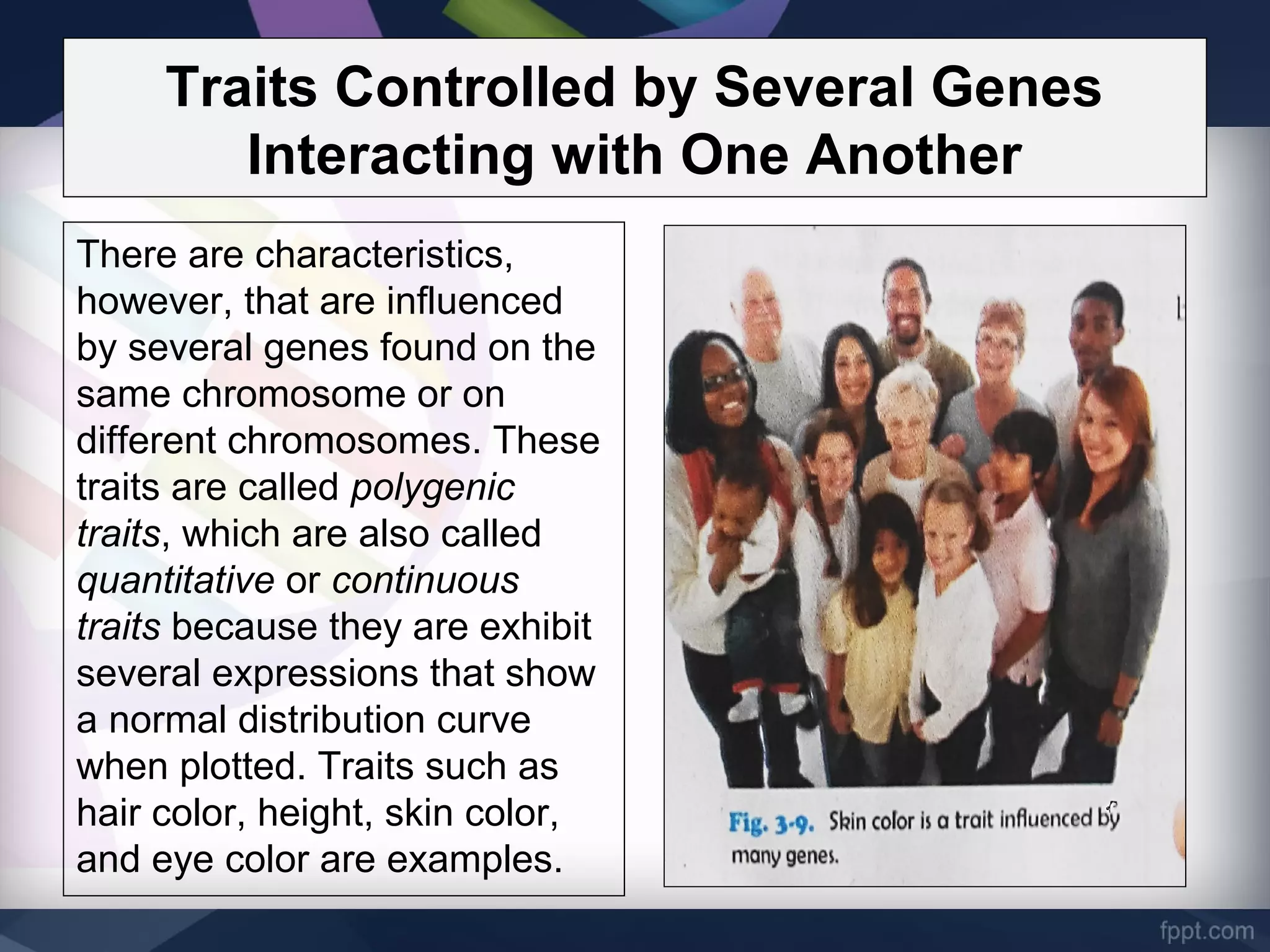 Traits Controlled by Several Genes
Interacting with One Another
There are characteristics,
however, that are influenced
by several genes found on the
same chromosome or on
different chromosomes. These
traits are called polygenic
traits, which are also called
quantitative or continuous
traits because they are exhibit
several expressions that show
a normal distribution curve
when plotted. Traits such as
hair color, height, skin color,
and eye color are examples.
 
