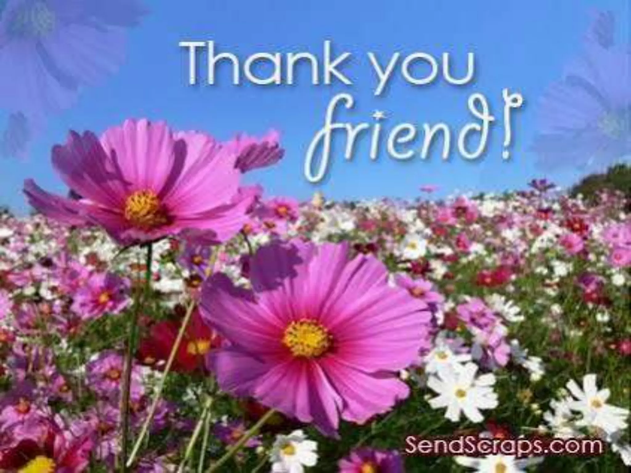 Traits of a Good Listener