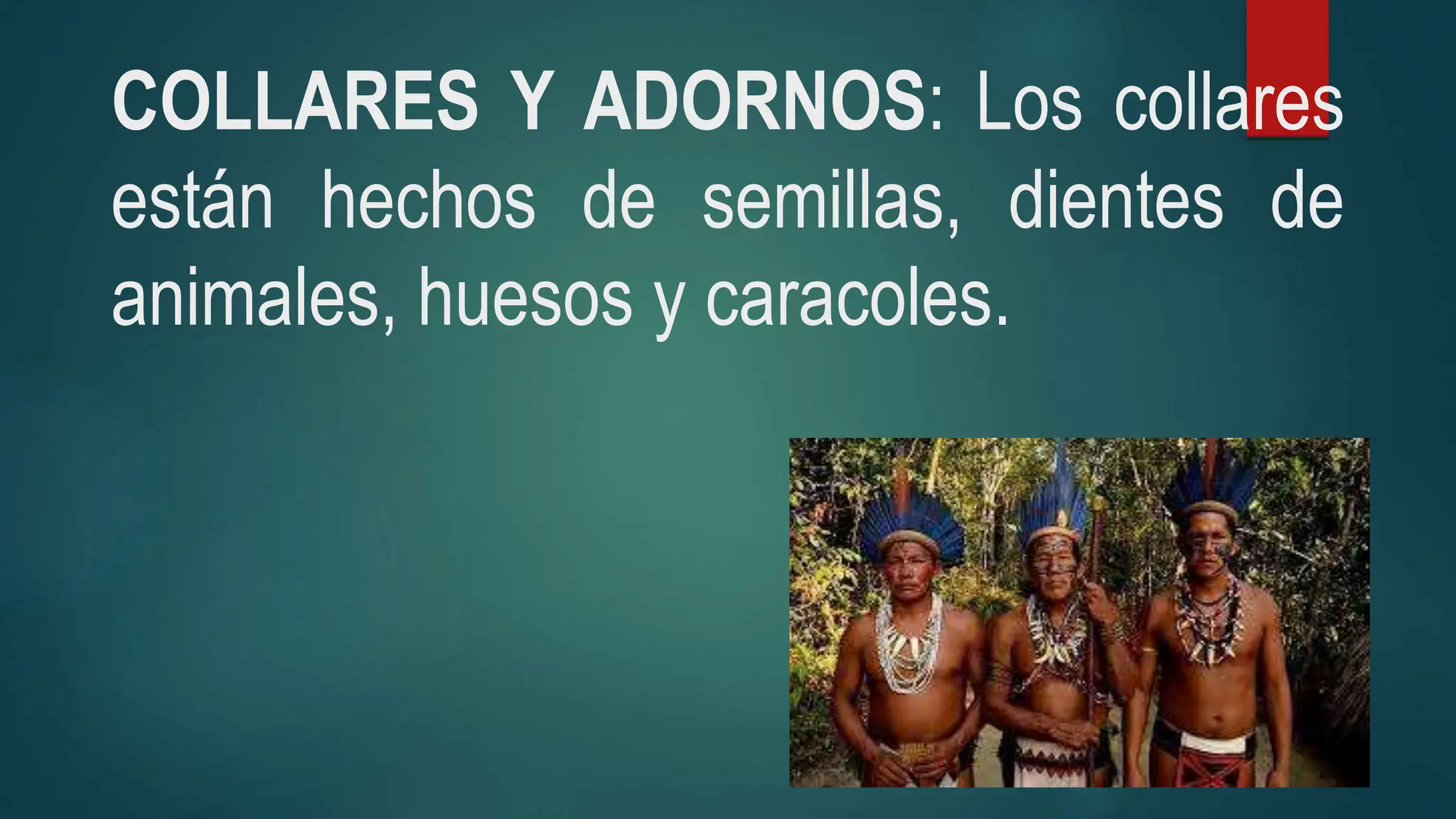 DESCRIPCION DE LA VESTIMENTA DEL AMAZONAS | PPT