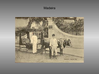 Madeira 