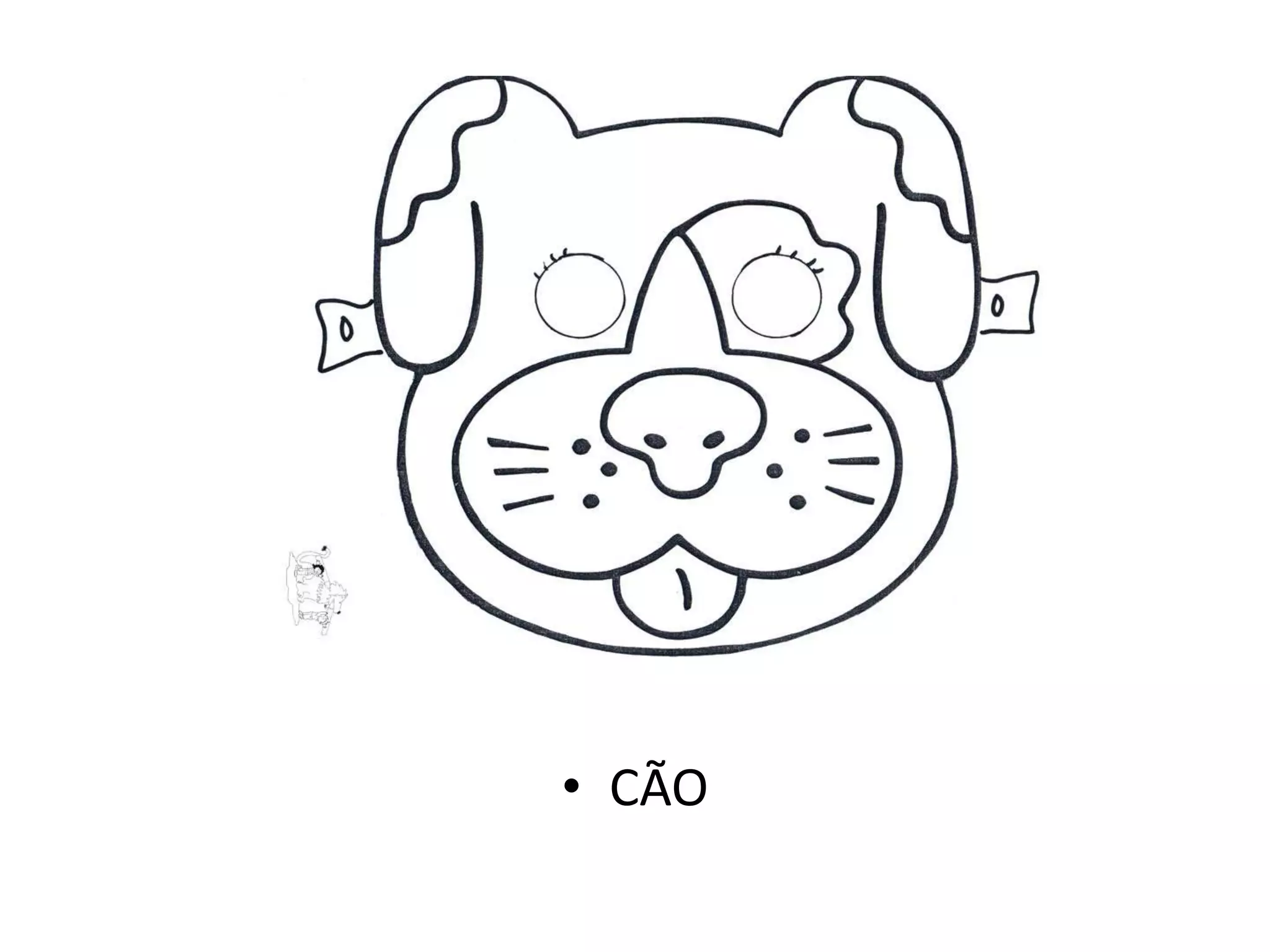 • CÃO
 