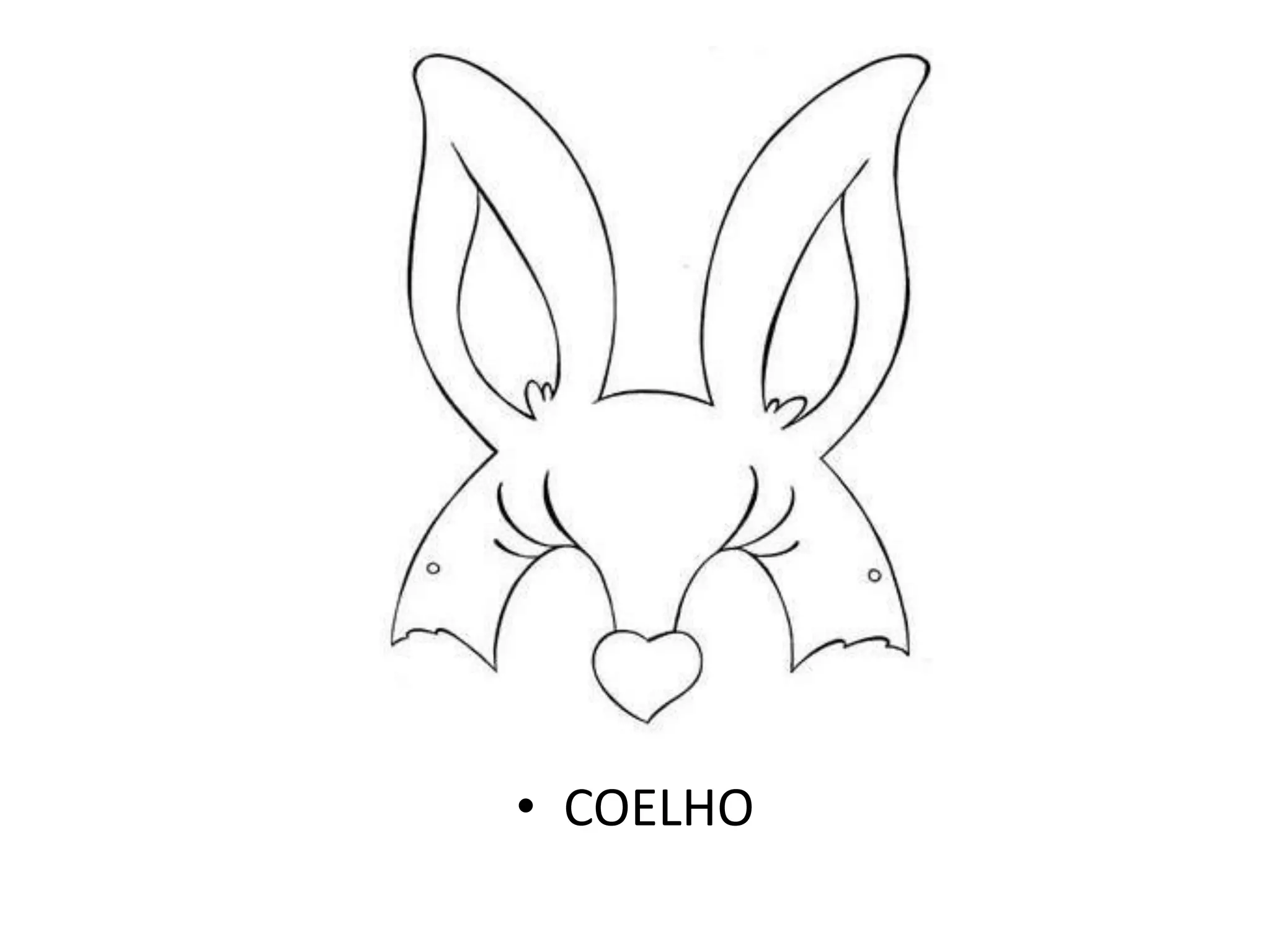 • COELHO
 