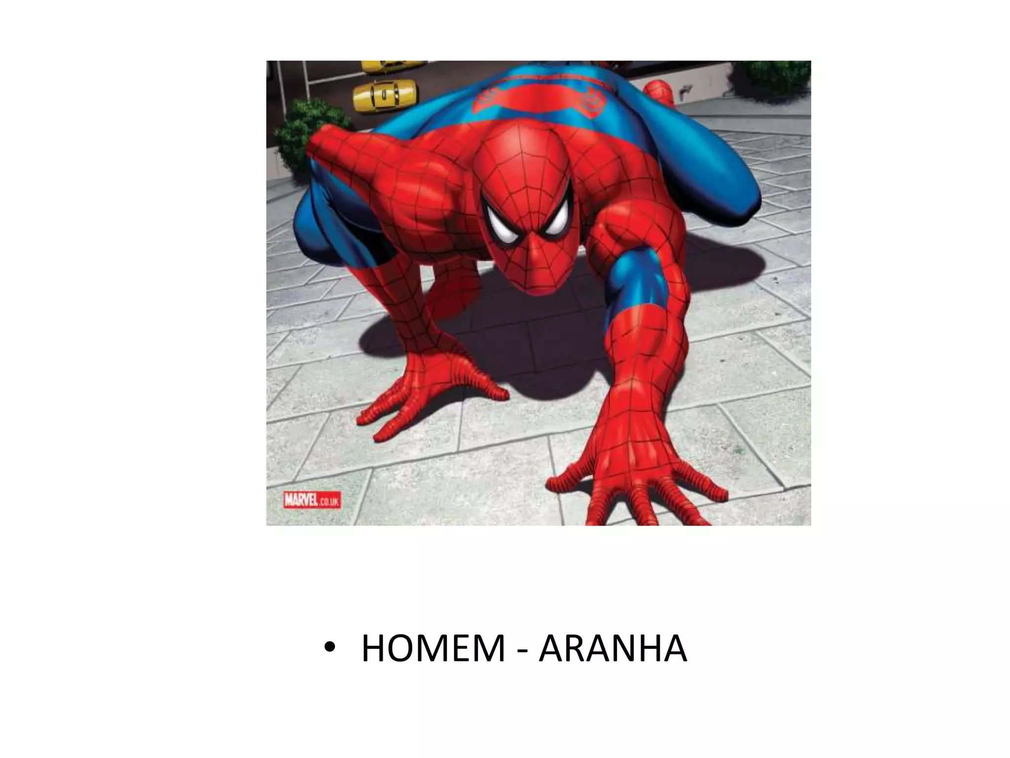 HOMEM - ARANHA




 • HOMEM - ARANHA
 