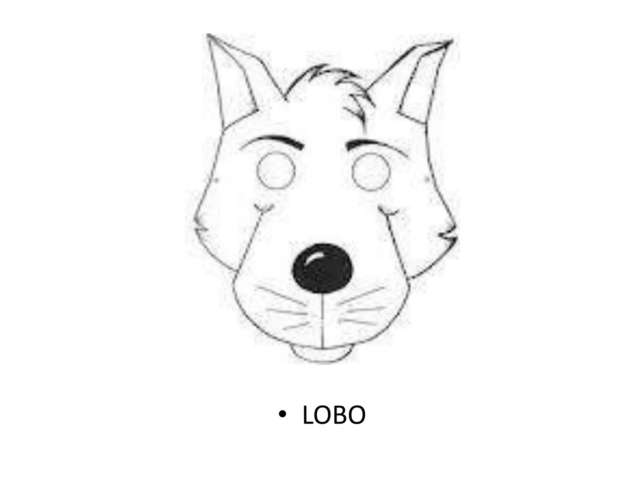 • LOBO
 