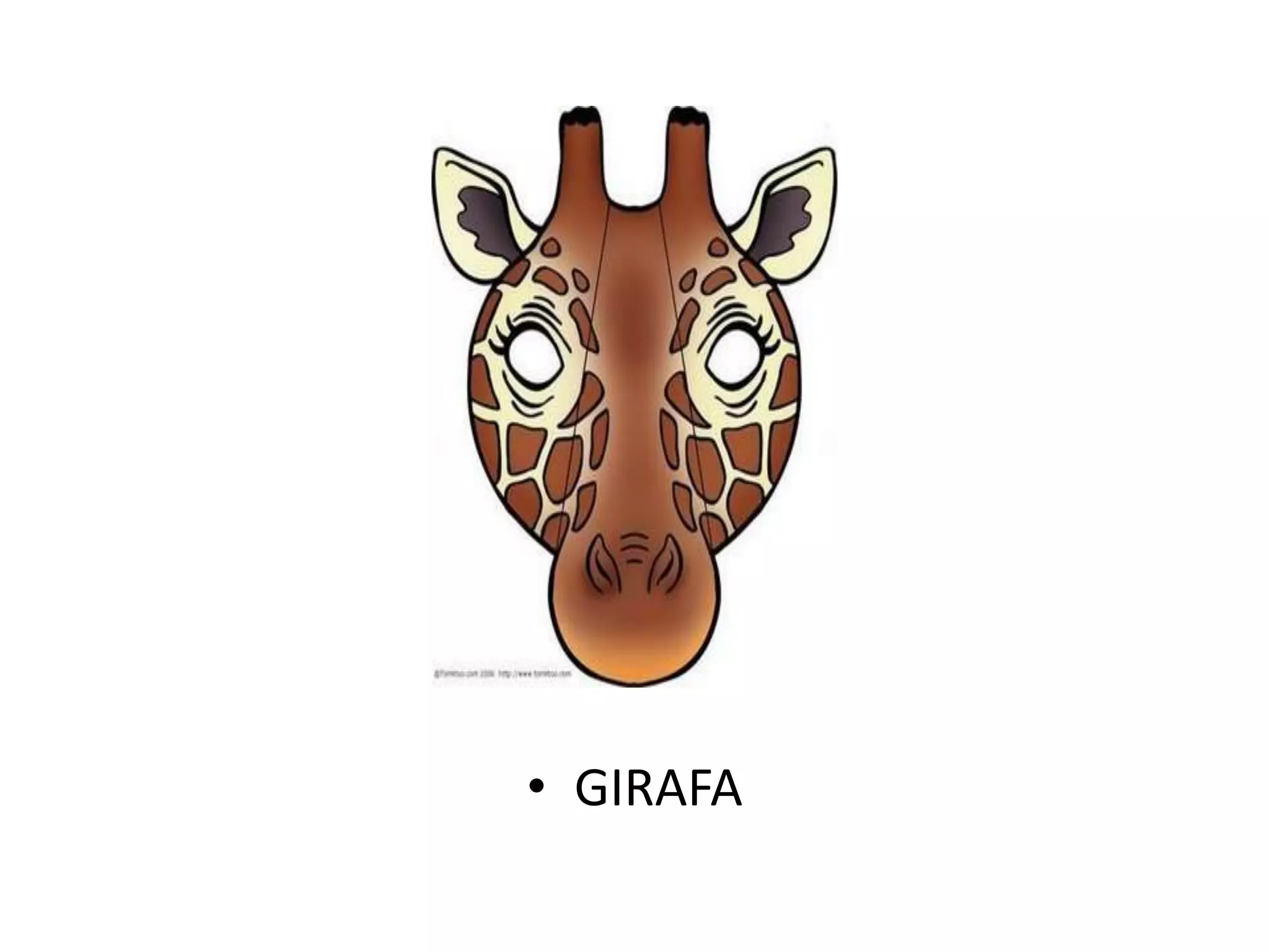 • GIRAFA
 
