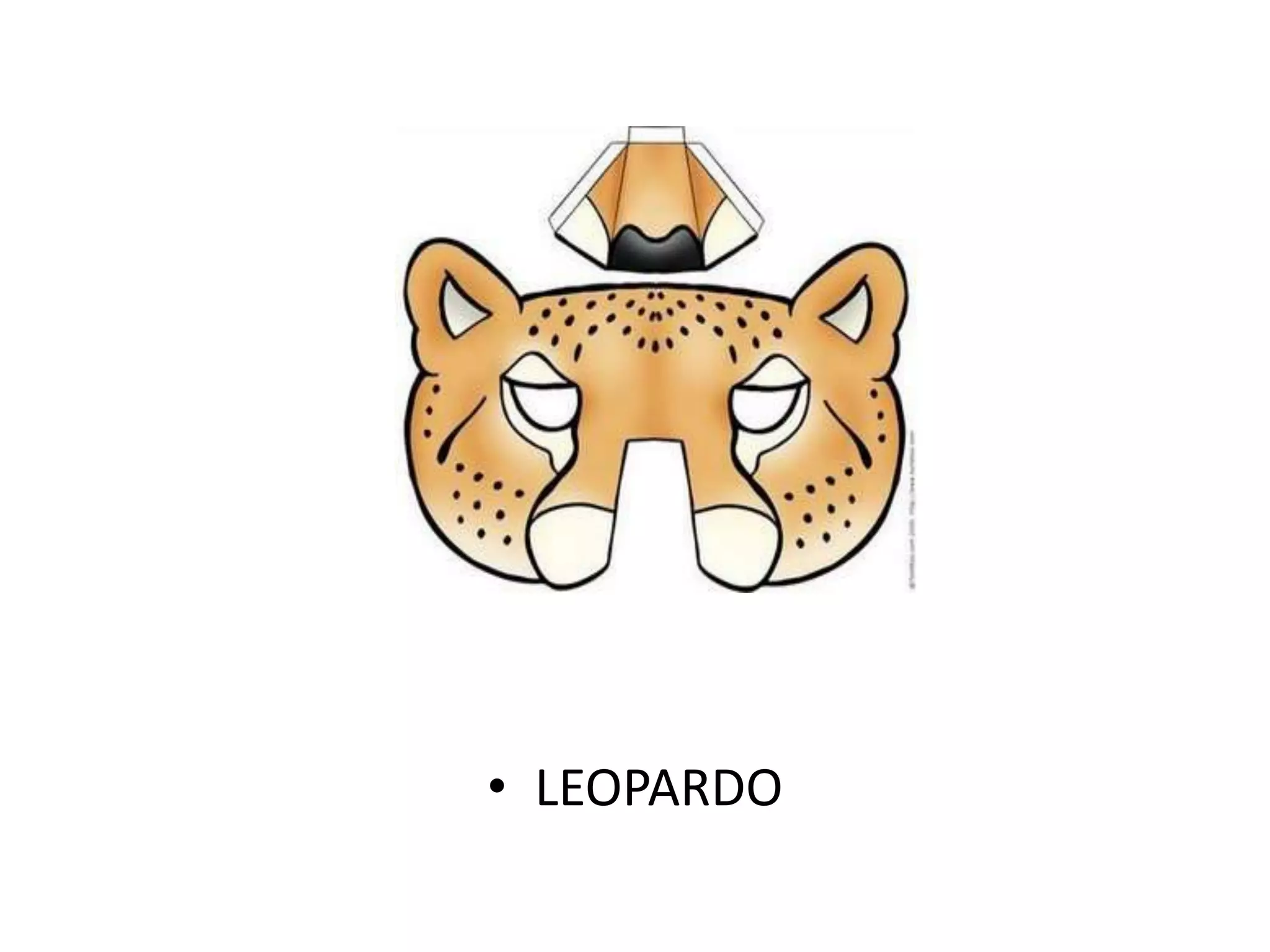 • LEOPARDO
 