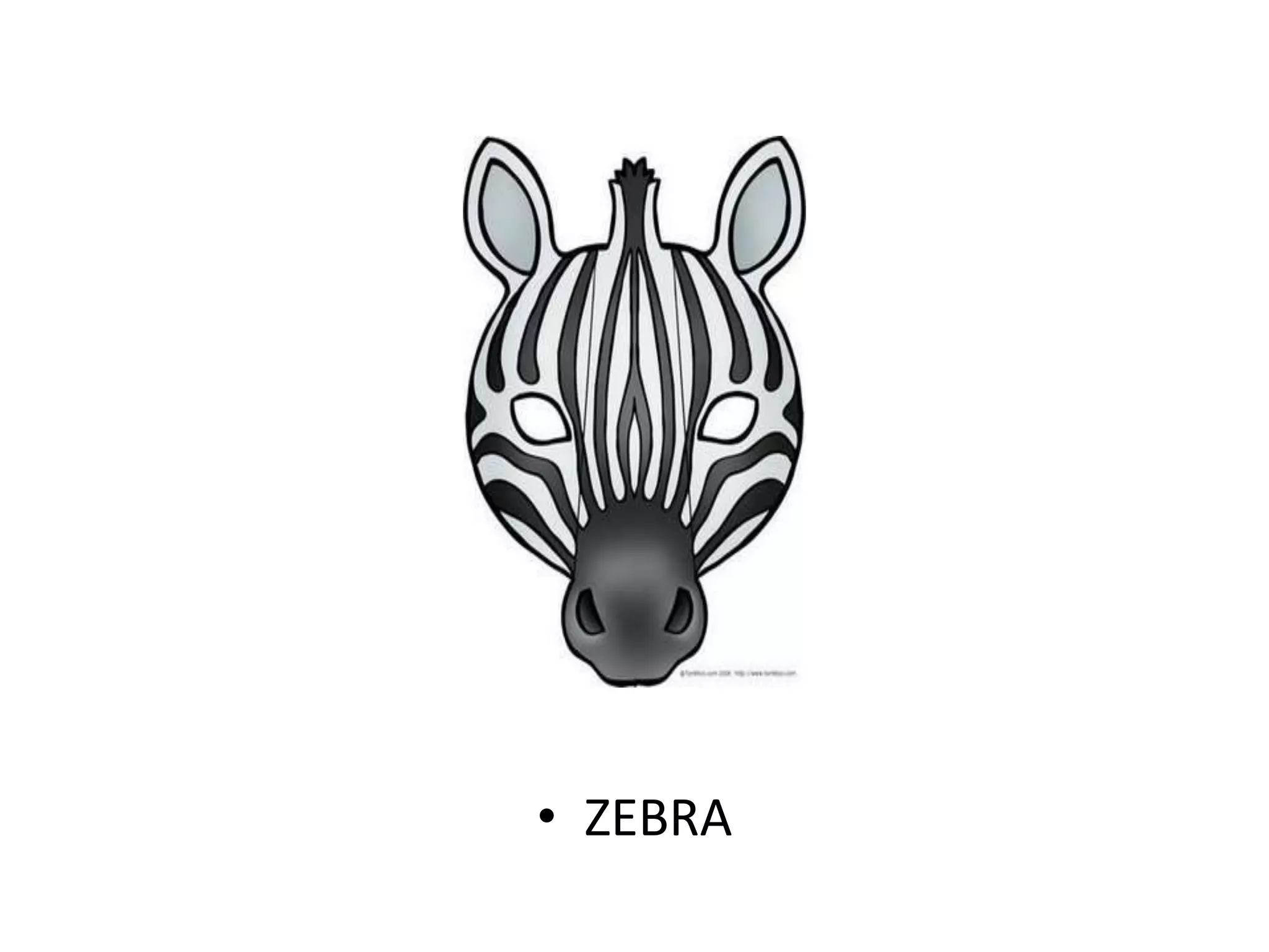• ZEBRA
 