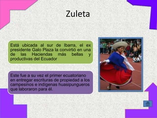 Zuleta


Está ubicada al sur de Ibarra, el ex
presidente Galo Plaza la convirtió en una
de las Haciendas más bellas y
productivas del Ecuador


Este fue a su vez el primer ecuatoriano
en entregar escrituras de propiedad a los
campesinos e indígenas huasipungueros
que laboraron para él.
 