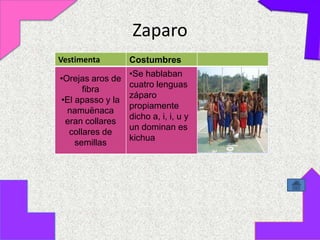 Zaparo
Vestimenta        Costumbres
                  •Se hablaban
•Orejas aros de
                  cuatro lenguas
      fibra
                  záparo
•El apasso y la
                  propiamente
  namuënaca
                  dicho a, i, i, u y
 eran collares
                  un dominan es
  collares de
                  kichua
    semillas
 
