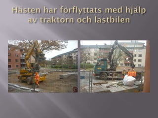 Traktor 9 dec 2012