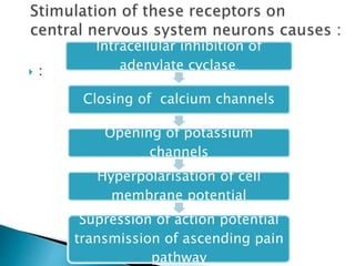  :
Intracellular inhibition of
adenylate cyclase.
Closing of calcium channels
Opening of potassium
channels
Hyperpolarisation of cell
membrane potential
Supression of action potential
transmission of ascending pain
pathway
 