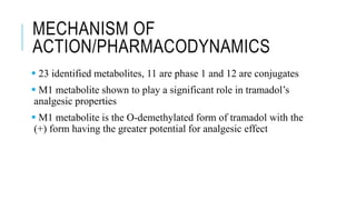 MECHANISM OF
ACTION/PHARMACODYNAMICS
 23 identified metabolites, 11 are phase 1 and 12 are conjugates
 M1 metabolite shown to play a significant role in tramadol’s
analgesic properties
 M1 metabolite is the O-demethylated form of tramadol with the
(+) form having the greater potential for analgesic effect
 