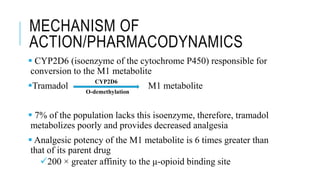 MECHANISM OF
ACTION/PHARMACODYNAMICS
 CYP2D6 (isoenzyme of the cytochrome P450) responsible for
conversion to the M1 metabolite
Tramadol M1 metabolite
 7% of the population lacks this isoenzyme, therefore, tramadol
metabolizes poorly and provides decreased analgesia
 Analgesic potency of the M1 metabolite is 6 times greater than
that of its parent drug
200 × greater affinity to the μ-opioid binding site
CYP2D6
O-demethylation
 